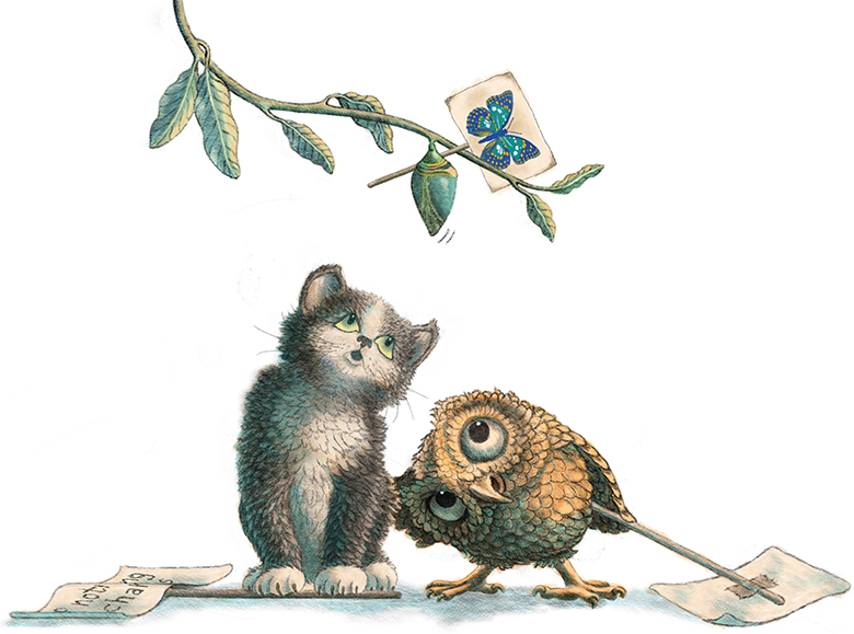 kitten owl and coccoon
