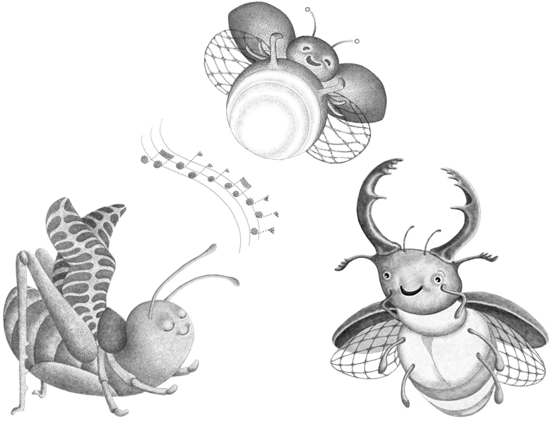 cricket, firefly, stagbeetle
