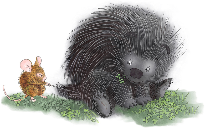 porcupine and mouse
