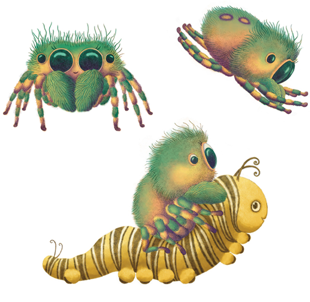 three  jumping spiders, one riding caterpillar